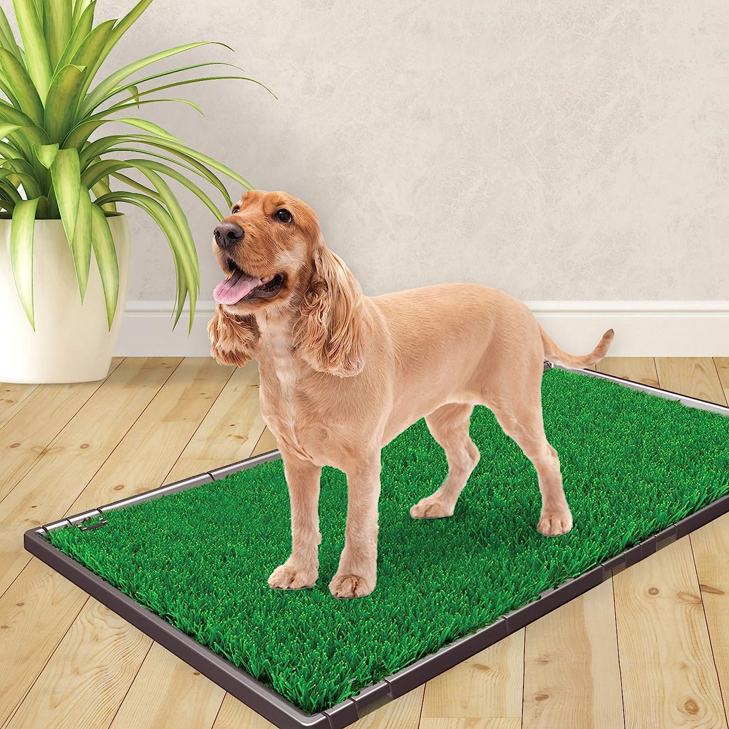 Indoor grass dog toilet fashion